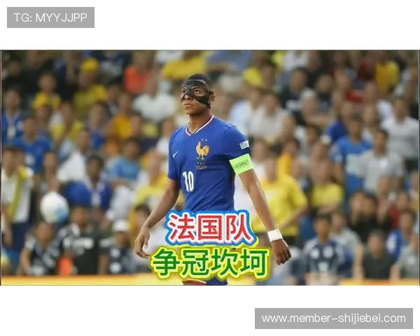 法国队夺冠对未来足球战略的启示与借鉴 法国队夺冠对未来足球战略的启示与借鉴
