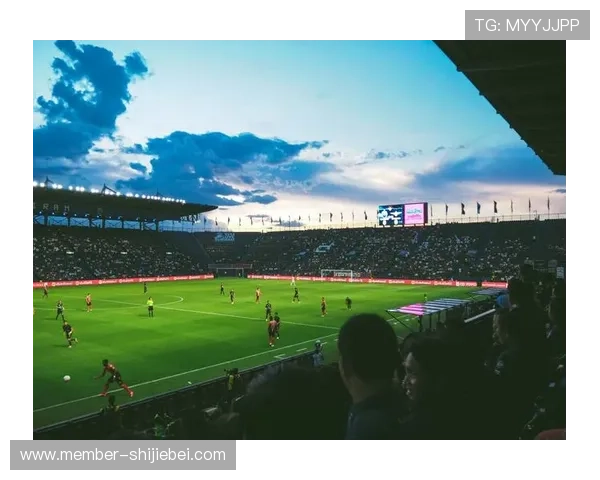 2026年世界杯决赛场地选择背后的原因及其对赛事影响的深度分析